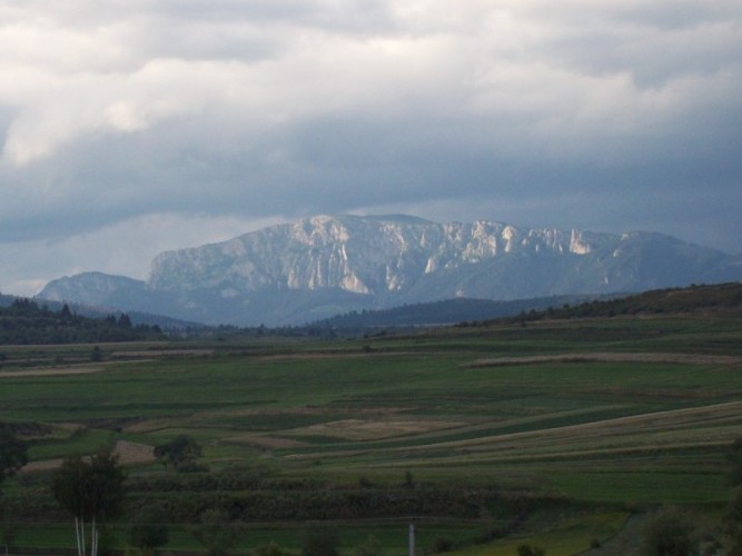 100_1710-1024x682